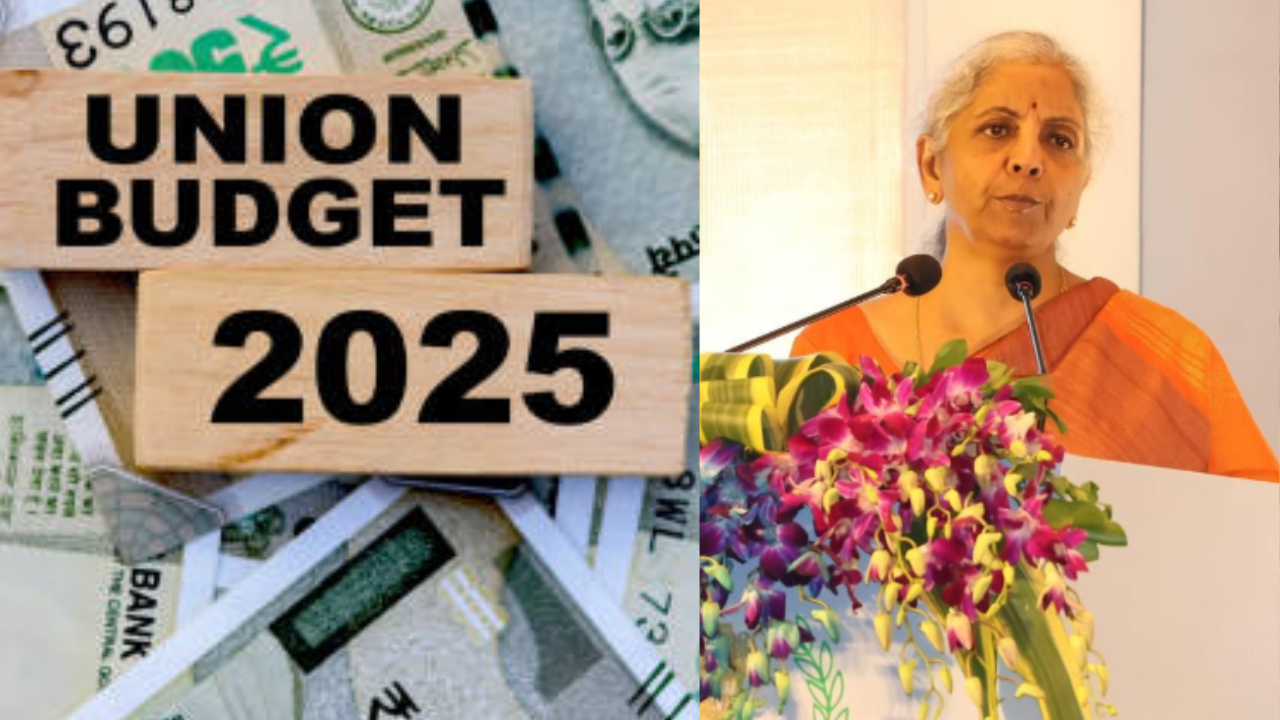 India Health Budget 2025 Highlights Healthcare Updates In Hindi